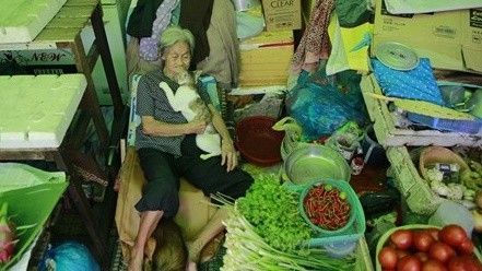 Sau tai nạn giao thông, cụ bà bán rau nuôi chó mèo ở Sài Gòn đã qua đời