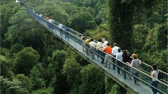 5 mảng xanh đáng đi nhất khi bạn du lịch Singapore