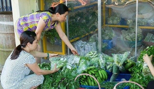 Đằng sau câu chuyện nông dân cũng kén chọn rau sạch để ăn là gì?