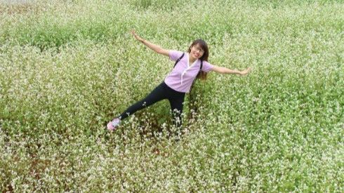 Tam giác mạch đã xuất hiện ở Đà Lạt