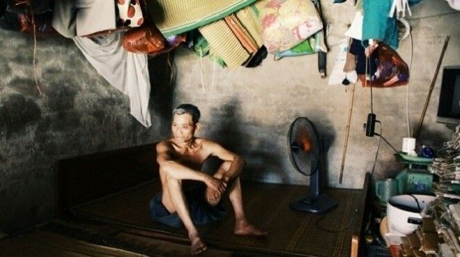 Người 'chảy mỡ', gà ngất xỉu trong ngày nắng nóng 40 độ C ở Hà Nội