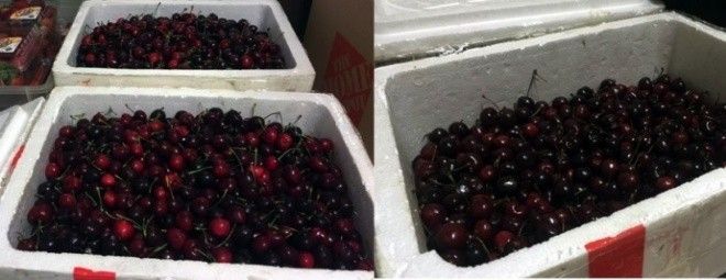 Thực hư chuyện hành khách tố nhân viên sân bay Nội Bài móc trộm 1/3 thùng cherry