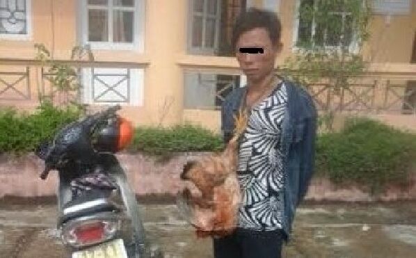 Xôn xao cảnh 'làm nhục' kẻ trộm gà bằng cách trói tay, treo gà vào cổ