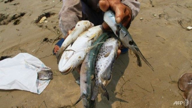 Dư luận Đài Loan: 'Bài học đắt giá của Formosa'