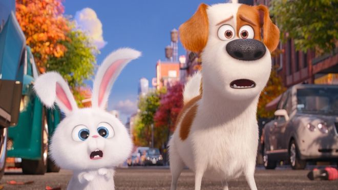 Đây là 3 bài học mà các thú cưng đẳng cấp sẽ 'dạy' chúng ta