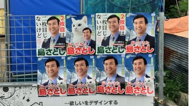 Chính trị gia Nhật lấy mèo trắng mắt 2 màu làm 'linh vật' cho chiến dịch tranh cử