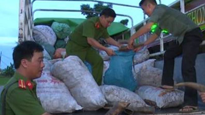 Thanh Hoá - Triệu Sơn: Bắt xe tải vận chuyển nội tạng động vật bốc mùi hôi thối