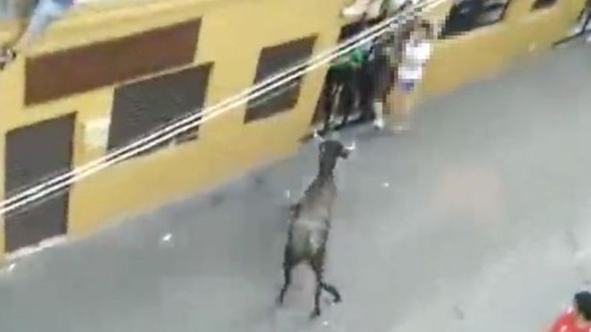 Quốc tang 3 ngày cho người phụ nữ bị bò tót húc chết trên phố