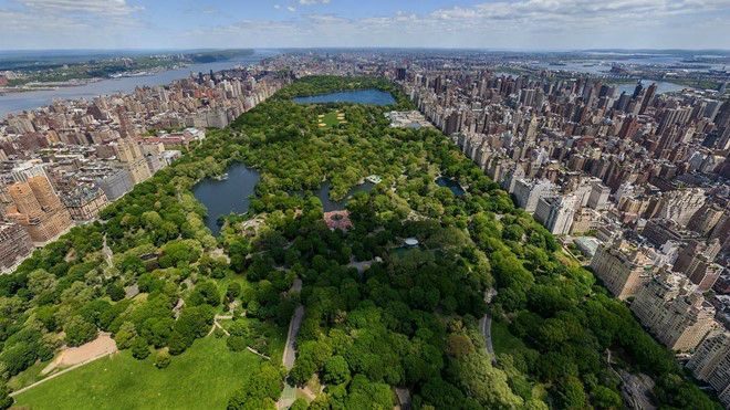 Những bí mật thú vị về 'lá phổi xanh' khổng lồ giữa siêu đô thị New York