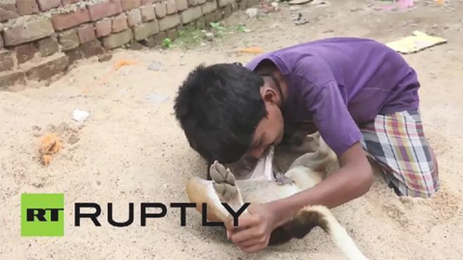 Cậu bé 10 tuổi cả ngày đi lang thang tìm chó cái để bú sữa