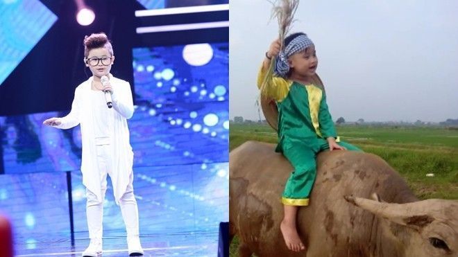 'Hotboy The Voice Kids' Chu Tuấn Ngọc cưỡi trâu hát líu lo dễ thương vô đối