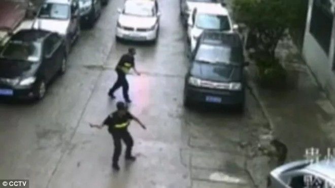 Trung Quốc: Chó điên làm loạn suốt 2 tiếng, tấn công hơn 20 người trên đường phố