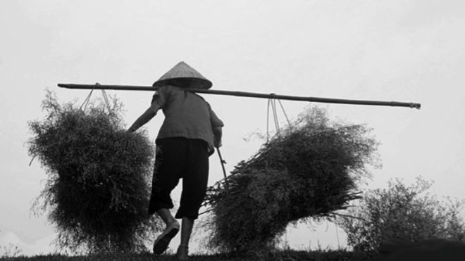 Mùa Vu Lan, nghĩ về những bà mẹ không có hoa hồng trên áo