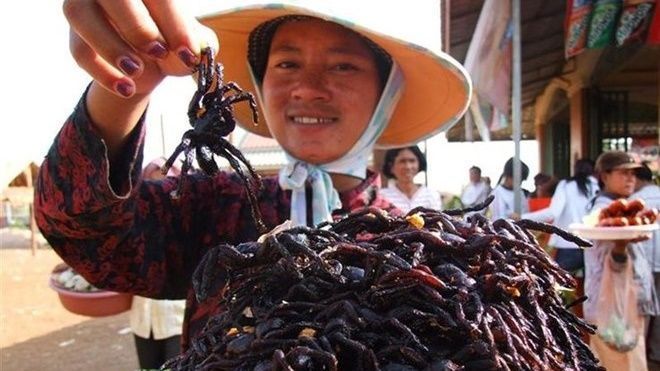 Đặc sản nhện đen đáng sợ của Campuchia