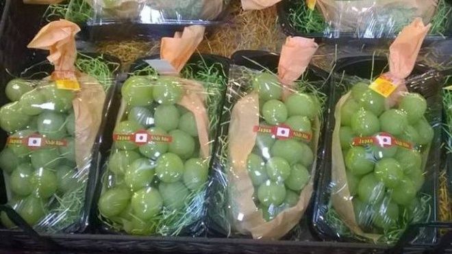 Nho xanh 1,3 triệu/kg: Đắt vô địch, vẫn tranh nhau mua