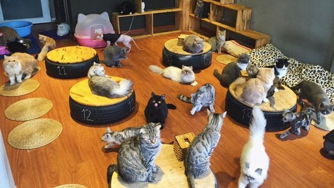 Những quán cà phê độc đáo cho cuối tuần ở Hà Nội