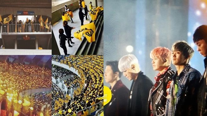 Hãy xem ngay nếu muốn biết thế nào là trung thành tuyệt đối của fandom Kpop!