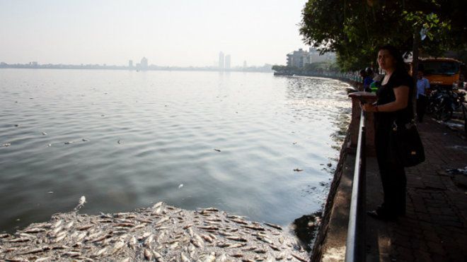 Nếu Hồ Tây chết, Hà Nội còn lại gì?