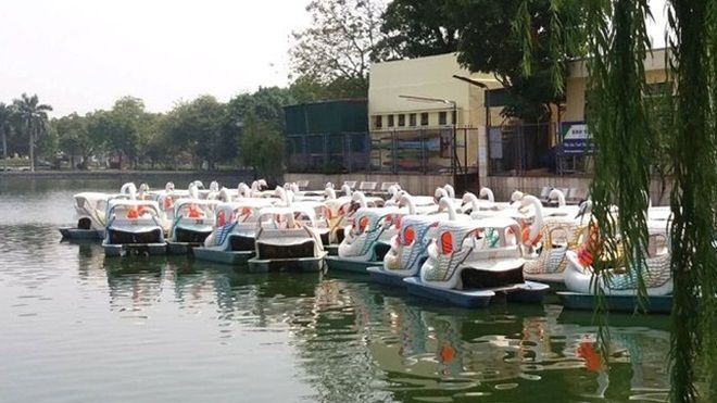 Nữ giáo viên thuê thuyền thiên nga ra giữa hồ tự tử