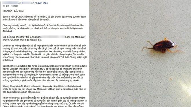 Hà Nội: Đi ăn lẩu nấm, đoàn khách 30 người tá hỏa khi gián 'bơi' trong nồi, bò lổm ngổm trên bàn