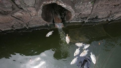 Tổng kiểm tra các hệ thống xả thải ra Hồ Tây