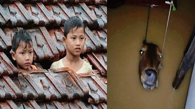 Những hình ảnh khiến bạn chẳng cầm được nước mắt trong trận mưa lũ lịch sử ở miền Trung