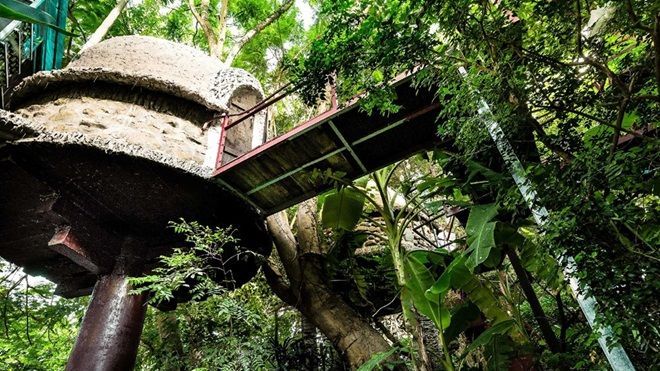 Nhà cây độc đáo ở ngoại thành Hà Nội