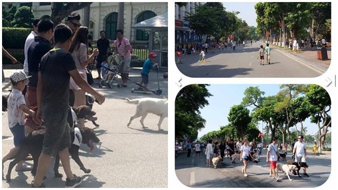 Đoàn chó dữ không rọ mõm 'diễu hành' trên phố đi bộ Hồ Gươm gây tranh cãi