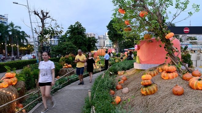 Vườn bí ngô đậm chất Halloween ở Sài Gòn