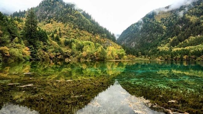 'Thiên đường hạ giới' Cửu Trại Câu lúc vào thu