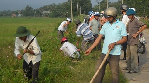 Đà Nẵng: Bí thư chi bộ xã bị cây gạt ngã tử vong khi làm tình nguyện