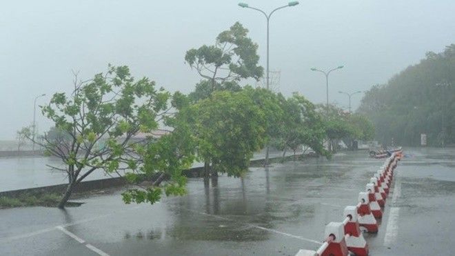 Không khí lạnh tăng cường mạnh, miền Bắc 7/11 chuyển rét