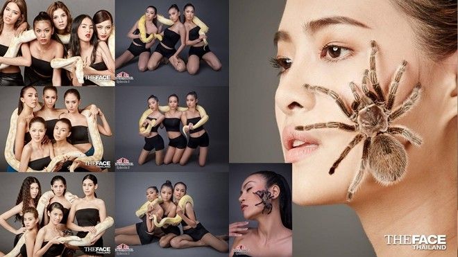 Sau The Wow Laos, đến lượt Khmer Super Model của Campuchia bị fan Thái tố 'ăn cắp ý tưởng'