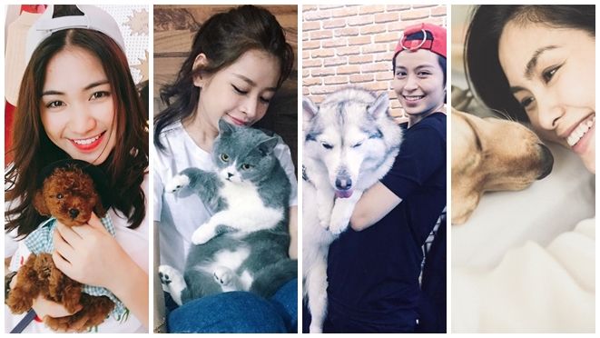 Bạn có biết những 'tình yêu' lớn này của sao Việt?