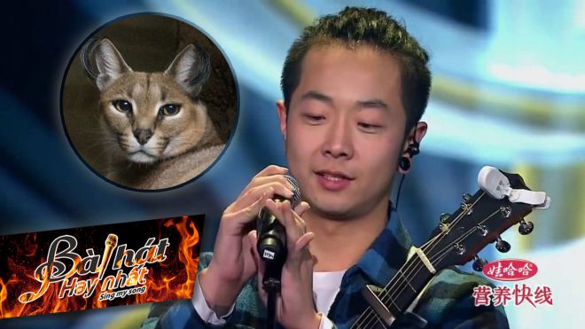 Mượn kiếp mèo hoang, chàng trai trẻ khiến cả sân khấu SMS Trung Quốc 'nín thở' xúc động