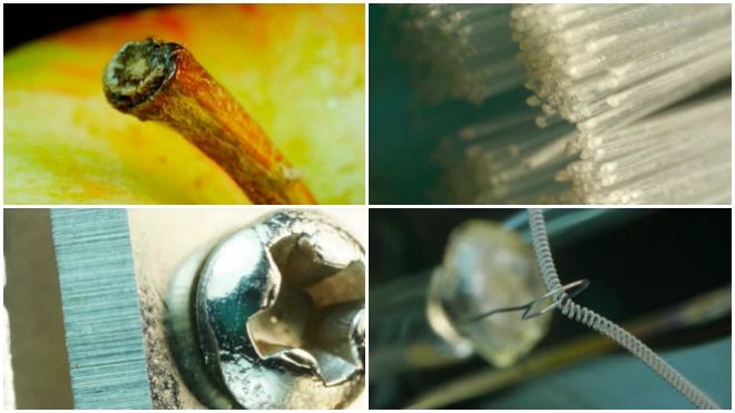 Bạn có tin những đồ vật quen thuộc lại trở nên đẹp kỳ vĩ chỉ nhờ một lần… chụp ảnh?