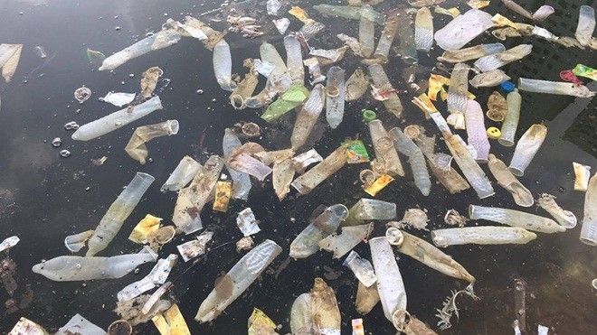 Kinh hãi hình ảnh hàng trăm chiếc bao cao su đã sử dụng nổi lềnh phềnh trên mặt hồ Linh Đàm