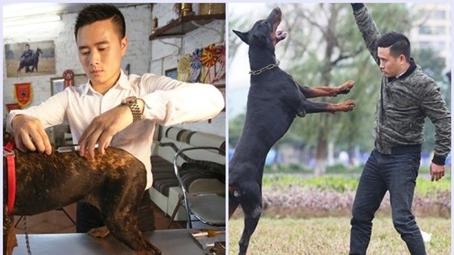 Chàng trai Hà Thành làm giàu nhờ trại chó Doberman