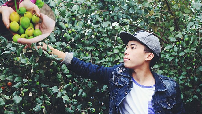Đến đây bạn chỉ mất 10 nghìn đồng để 'sở hữu' cả vườn táo ăn đến ngất xỉu thì thôi