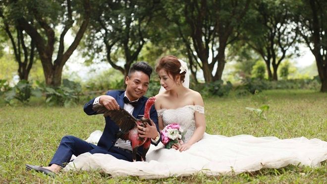 Ảnh cưới chụp cùng chó mèo xưa rồi, giờ phải là gà chọi!