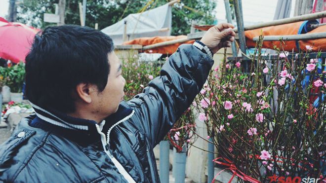 Vừa mưa vừa lạnh, hoa đào lại khoe sắc, Tết sắp đến thật rồi!