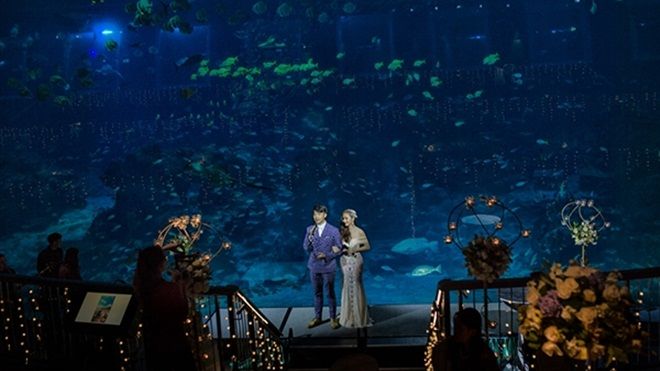 Cô dâu Việt chi gần 2 tỷ đồng 'bao trọn' thủy cung lớn nhất thế giới làm đám cưới