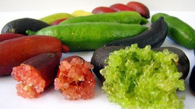 Hoa quả đắt nhất thế giới: Nhà giàu Việt không tiếc tiền ăn sang