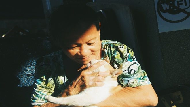 Chuyện về bà cụ nhặt mèo ở Sài Gòn và lời thỉnh cầu của những chú mèo