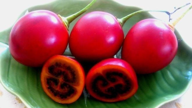 Cà chua lạ 1 triệu đồng/kg gây sốt thị trường Hà Nội