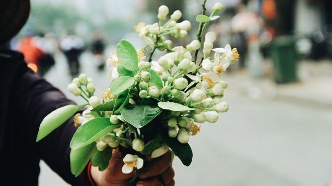 Gánh hoa bưởi đầu mùa trên phố, bước chầm chậm để cảm nhận cái hồn quê man mác