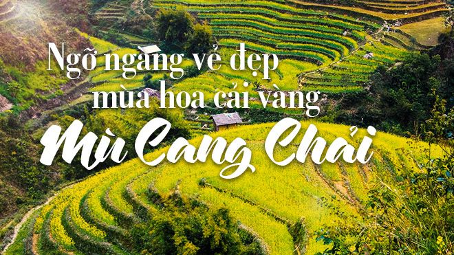 Ngỡ ngàng vẻ đẹp mùa hoa cải vàng Mù Cang Chải