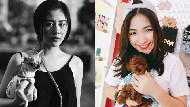 Văn Mai Hương, Hòa Minzy khóc hết nước mắt vì cún cưng