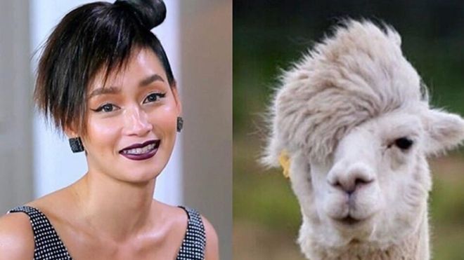 Mặc thị phi, The Face Thái vẫn hot nhờ loạt ảnh chế 'cười ra nước mắt' này