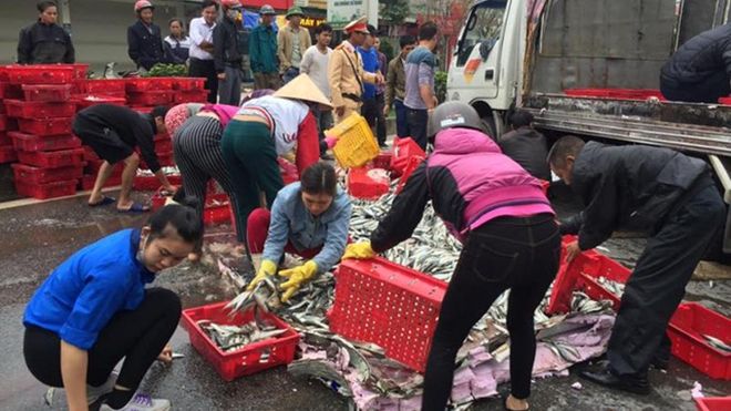 Hàng chục người dân thu gom cá giúp tài xế gặp nạn